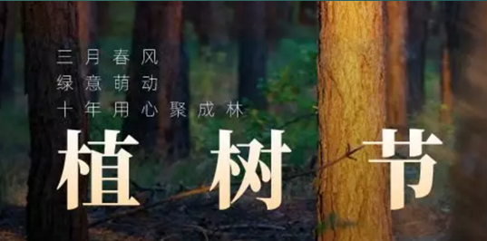 科瑪森植樹節(jié)的儀式感，與客戶共建事業(yè)